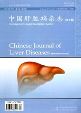 锐意医学网-中国肝脏病杂志电子版